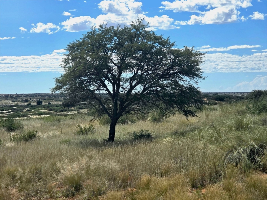 Commercial Property for Sale in Upington Rural Northern Cape